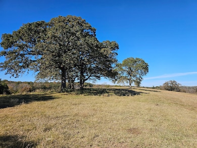 0 County Road 3513, Brownsboro, TX 75756 - photo 4