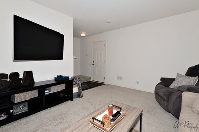 1785 Ruby Dr unit 1785, Pingree Grove, IL 60140 - photo 3