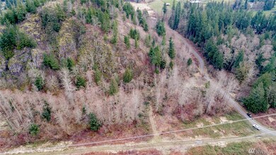 39950 295th Place SE, Enumclaw, WA 98022 - photo 5