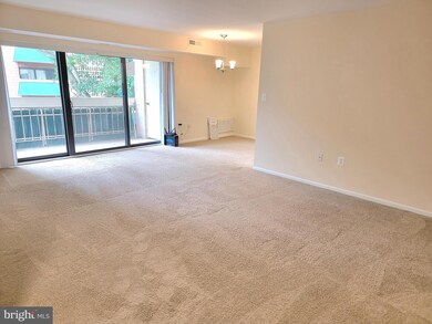 6139 Leesburg Pike unit 403, Baileys Crossroads, VA 22041 - photo 3