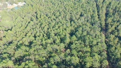 0 Patterson Rd unit 7690565, Robertsdale, AL 36567 - photo 2