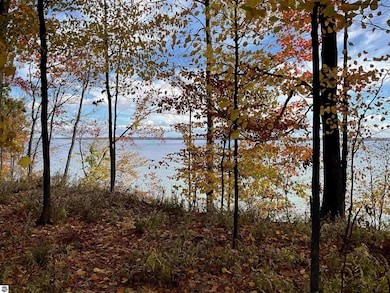 0 S Lee Point Rd unit 1938833, Suttons Bay, MI 49682 - photo 6