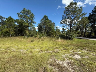 627 Columbus Blvd S, Lehigh Acres, FL 33974 - photo 7