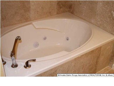 Master Bath Jacuzzi Tub