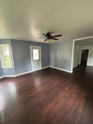 118 E Elm St, Palmyra, MO 63461 - photo 7