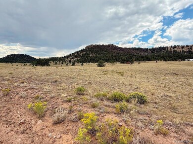 0 Cherokee Trail unit REC6368935, Hartsel, CO 80449 - photo 6