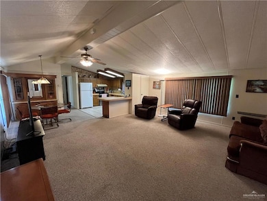 432 Northcutt Dr, Alamo, TX 78516 - photo 4