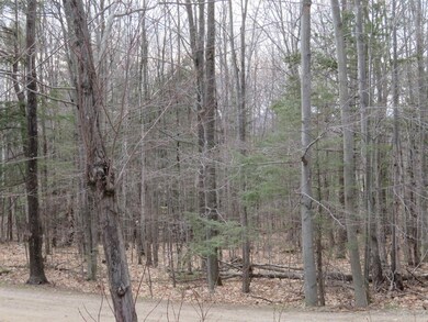 00 Ossipee Mountain Rd, Moultonborough, NH 03254 - photo 7