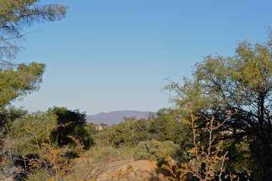 DSC_1392