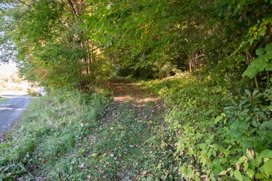 13.37 Acres - Rhymer Road, Damascus, VA