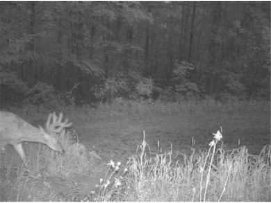 0 County Road J unit 6642969, Nelson, WI 54756 - photo 7