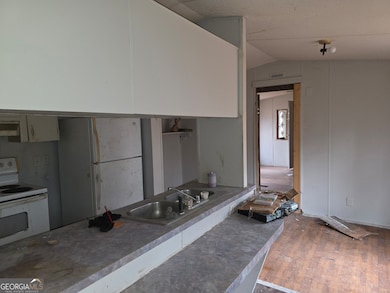 650 Wildcat Rd, Buchanan, GA 30113 - photo 5