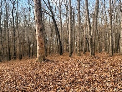 Lakeview 3 Highway 304, Ten Mile, TN 37880 - photo 5