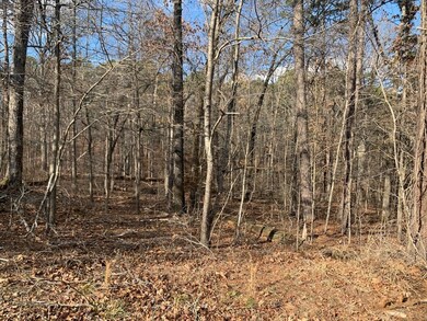 0 Abbotsley Ln, Bella Vista, AR 72714 - photo 5