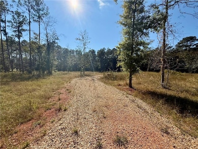 Lot 23 Spirit of the Forest Ln, Folsom, LA 70437 - photo 4