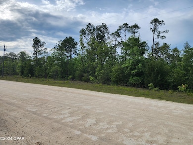 0 Elm Rd unit Lots 41 and 42, Marianna, FL 32448 - photo 4