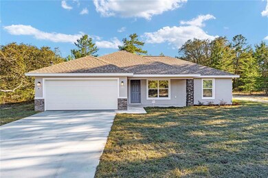 4 Fisher Trace, Ocklawaha, FL 32179 - photo 7