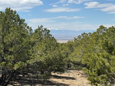 00103 Ute Dr, Mosca, CO 81146 - photo 4