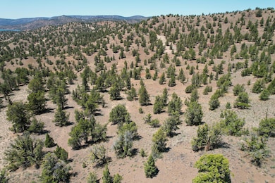 dji_fly_20250618_132724_557_175027945655