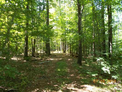 000 Langley Rd, Newport, NH 03773 - photo 3