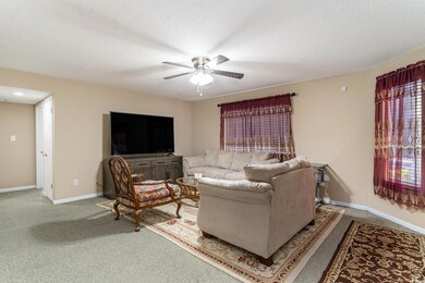Carpeted living room featuring ceiling fan and a t