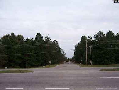 111 Allenvalley Rd, Gaston, SC 29053 - photo 2