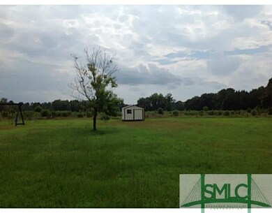 Yard/Garden. 1/2 acre lot