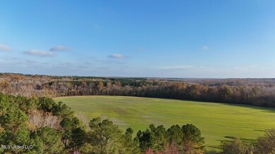 dji_fly_20241126_082636_0182_17326583130
