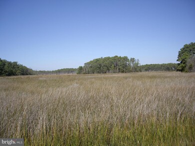 2734 Bishops Head Rd, Toddville, MD 21672 - photo 2