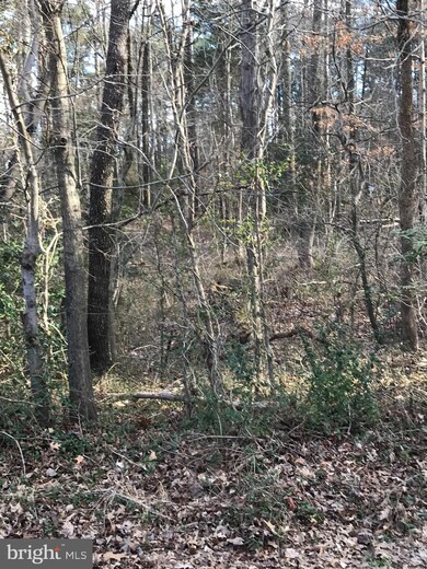 0 Mount Vernon Blvd unit VAFX1184548, Lorton, VA 22079 - photo 5