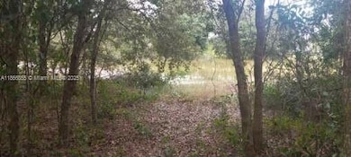 1708 Columbus Ave, Lehigh Acres, FL 33972 - photo 3