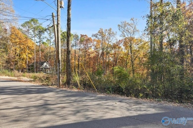 244 Brentwood Ln, Madison, AL 35758 - photo 2