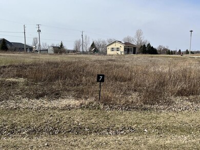 Lot 7