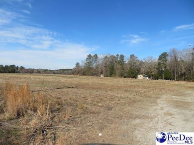0 W Bobo Newsom Hwy, Hartsville, SC 29550 - photo 4