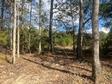 Lot 10 Cr 139, Okolona, MS 38860 - photo 2