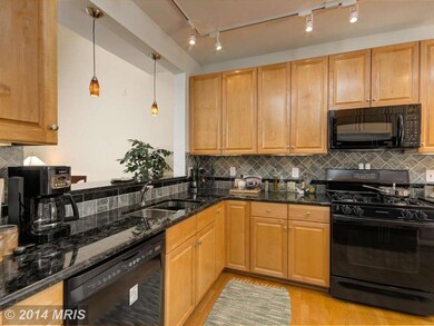 1602 Hunting Creek Dr unit B, Alexandria, VA 22314 - photo 5