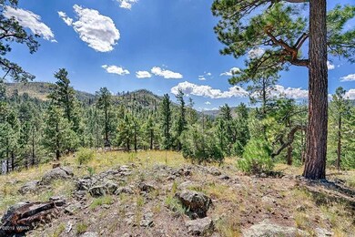 Lot #12 Greer View Estates, Greer, AZ 85927 - photo 3