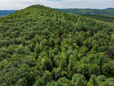 DJI_0268