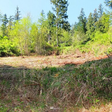 unlisted-address, Stanwood, WA 98292 - photo 4