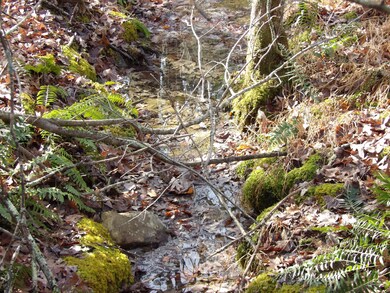 340 Rd, Evensville, TN 37332 - photo 6