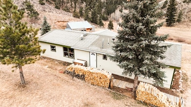 846 Boxer Ranch Rd, Livermore, CO 80536 - photo 5