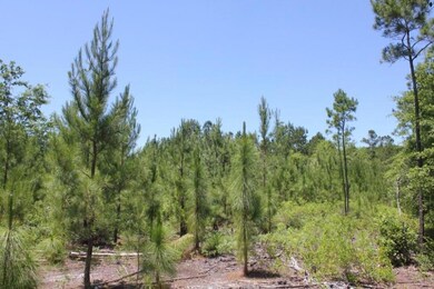 listing777585photo2