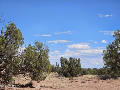 27 N 9183, Concho, AZ 85924 - photo 7