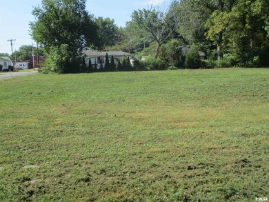 0000 Buchanan St, Benton, IL 62812 - photo 4