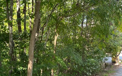 Additional View
