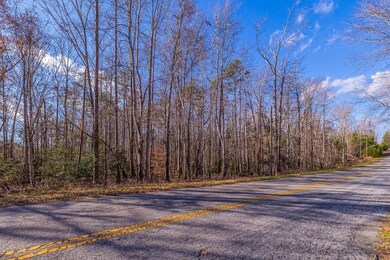 225 Frontier Rd, Enoree, SC 29335 - photo 3