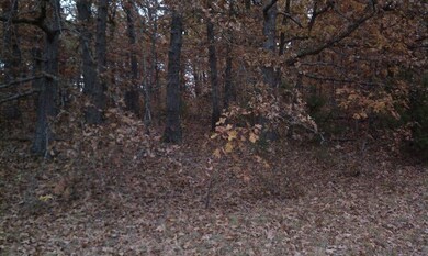 lot 37 3rd photo