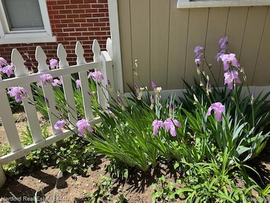 lots of perennials