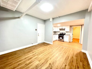 1564 Commonwealth Ave unit 17, Brighton, MA 02135 - photo 5