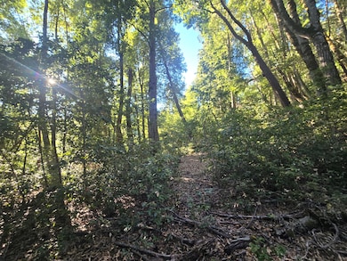 1439 Trinity Trail, Zenia, CA 95595 - photo 7